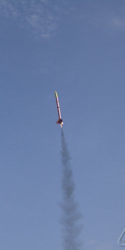 2013 Svojek Mirek Topinka